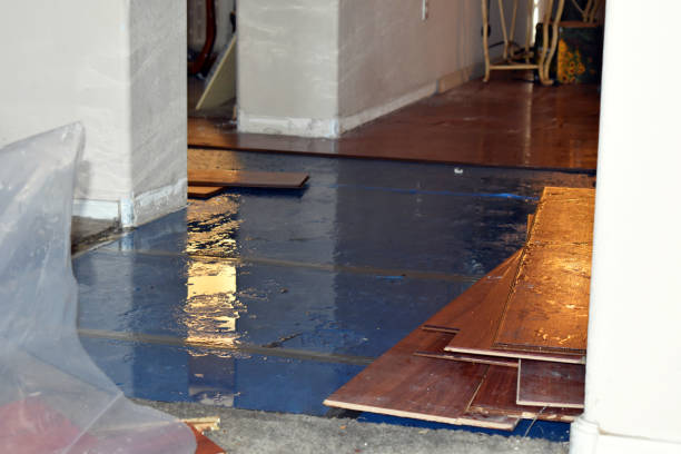 Professional Sewage Cleanup technician working in Harrietta, MI
